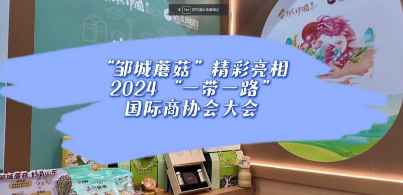 【邹视频·新闻】“邹城蘑菇”精彩亮相 2024 “一带一路”国际商协会大会